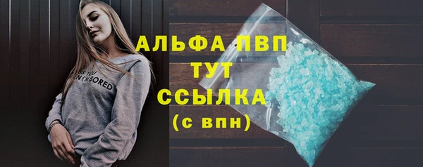 сатива Новодвинск