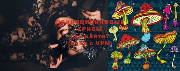тгк Арсеньев