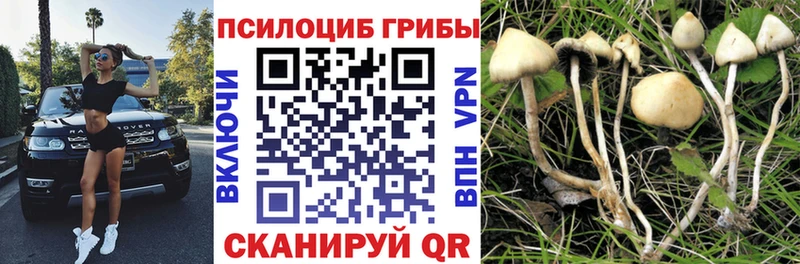 Галлюциногенные грибы прущие грибы  omg ссылка  Арск  цена наркотик 